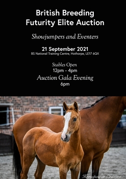 Futurity Elite Auction of Showjumping & Eventing youngsters – 21 September Futurity Elite Auction of Showjumping & Eventing youngsters – 21 September